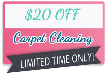 Carpet Cleaning Special Offer
