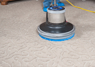 Carpet Steam Cleaning